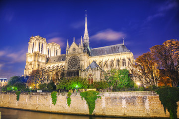 Fototapeta premium Notre Dame de Paris cathedral