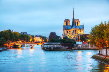 Naklejka premium Notre Dame de Paris cathedral