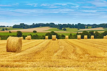 Wall murals Countryside Golden hay bales in countryside