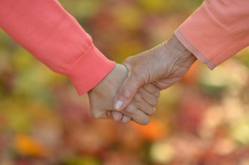 Hands together against leaves