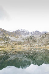 Fototapeta premium Lake of bees