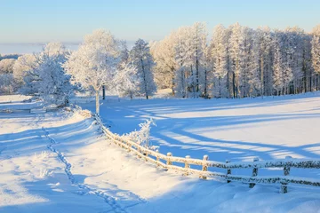 Cercles muraux Hiver Countryside winter landscape