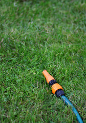 The garden water hose laying on the green grass