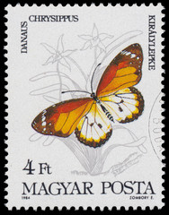 Fototapeta na wymiar Stamp printed in Hungary shows a butterfly