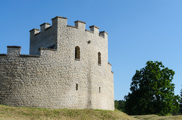 Fototapeta na wymiar Römerturm bei Pfünz gross