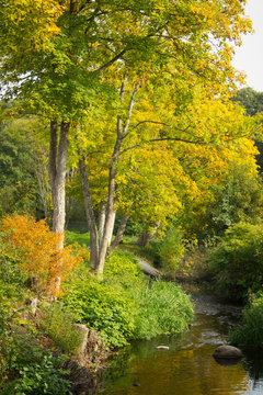 autumn colloers