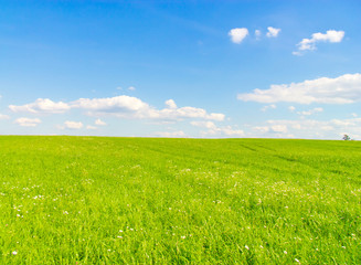 Obraz premium Landscape Field Heavens