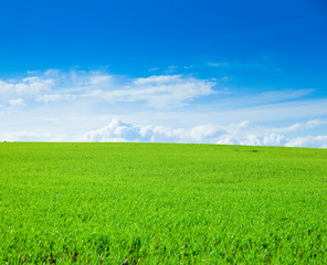 Obraz premium Country Outdoor Field