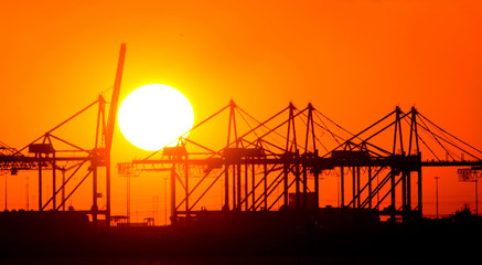 Close-up of large cranes in a harbor at sunset