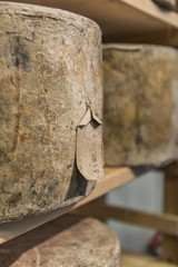 Whole blue cheeses wrapped and aging on shelves