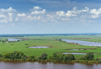 Fototapeta na wymiar Meadows along the Oka River. Ryazan region, Central Russia