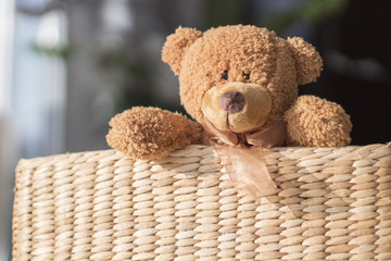 Teddy guckt aus dem Korb