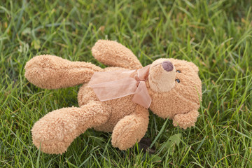 verlorener Teddy