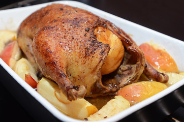 Roasted duck, stuffed with apples.