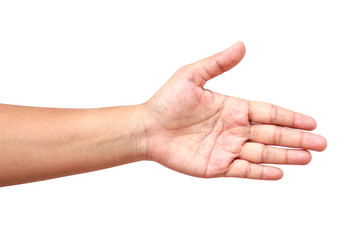 Hand of women isolated on white background