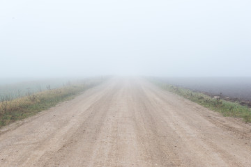 beautiful green meadow in heavy mist