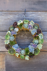 Cactus Wreath