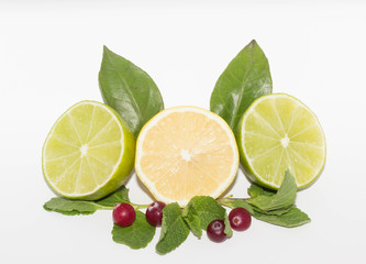 Fototapeta na wymiar lime, lemon, mint and cranberries isolated