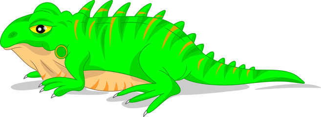 cute green iguana lizard