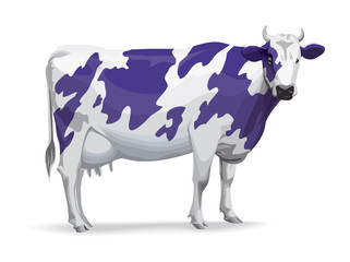 Cow in Milka style