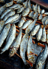 baked herring