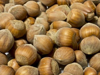 Nocciole