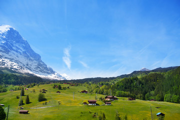 Fototapeta na wymiar Countryside view near Alps mountains in summer