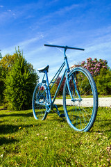 Fototapeta na wymiar Decorations in park .blue bicycle