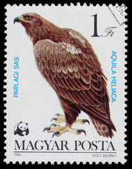 Stamp printed in Hungary shows 