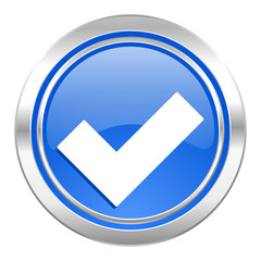 accept icon, blue button, check sign