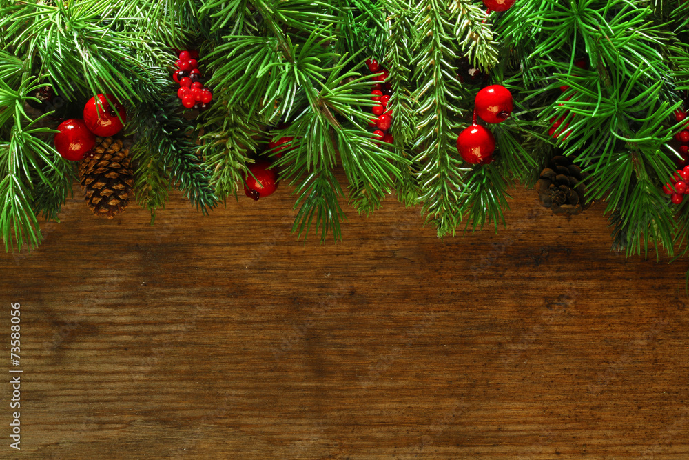 Canvas Prints christmas tree branches background