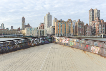 View of Manhattan from Roosevelt Island
