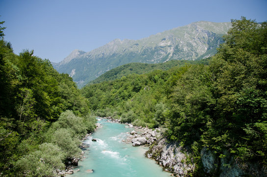 sotscha