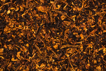 Background is of Chopped Tobacco Leaves