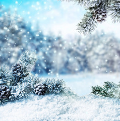 winter