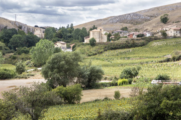 Fototapeta na wymiar landscape of Monasterio de Rodilla village in Spain