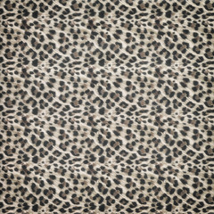 Leopard pattern