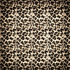Leopard pattern background