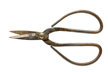 Old scissors isolated on white background,clipping path.
