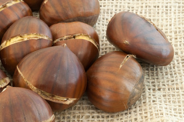 background of chestnut