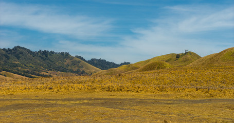 Bromo volcano mountain sawana