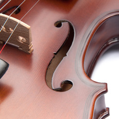 violin