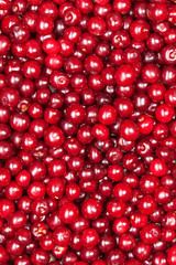 red cherry