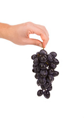 Black grapes in hand.