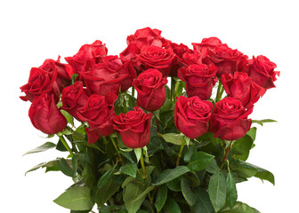 Fototapeta premium Colorful Flower Bouquet from Red Roses Isolated on White Backgro