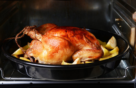 Delicious baked chicken in oven close-up