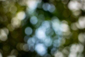 Obraz premium Bokeh background