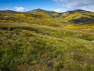 Los Cervunales en la Sierra de Gredos