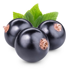 black currants
