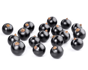 black currant